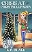 Crisis at the Christmas Party A Temp Job Cozy Mystery Book 6 (The Temp Jobs Cozy Mysteries) by K.B. Blake