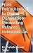 From Petrochemicals to Digi...