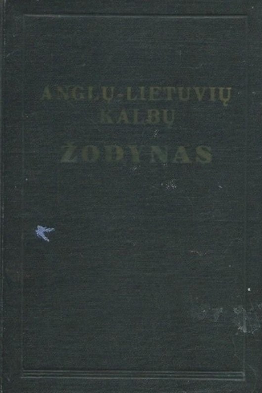 Anglų-lietuvių kalbų žodynas