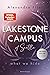 What We Hide (Lakestone Cam...