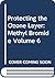 Protecting the Ozone Layer:...