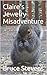 Claire's Jewelry Misadventure by Bruce Stevens
