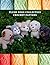 Plush Dogs Collection Crochet Pattern by Woofloo Amigurumi