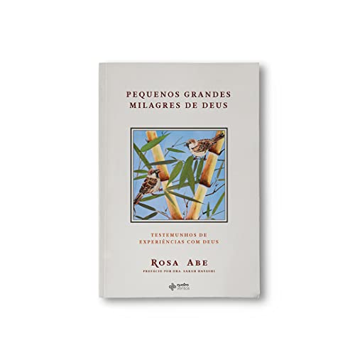 PEQUENOS GRANDES MILAGRES DE DEUS (Paperback)
