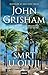 Smrt u oluji (Camino Island #2)