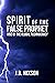 Spirit of the False Prophet by J.B. Hixson