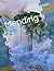 Mending