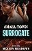 Small Town Surrogate (Sins of the South #6)