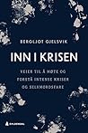 Inn i krisen