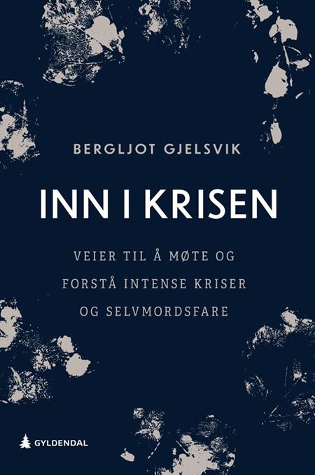 Inn i krisen (Hardcover)