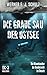 Die graue Sau der Ostsee: Die Minentaucher der Bundeswehr im Einsatz (German Edition)