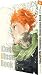 Haikyu!! Complete Illustration Book - Ein Ende und ein Anfang