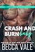 Crash and Burn Baby