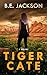 Tiger Cate by B.E. Jackson