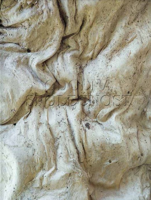 Odolná společnost: Mezi bezmocí a tyranií