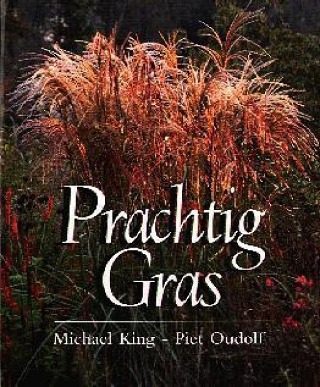 Prachtig gras: tuinieren met siergrassen en bamboes