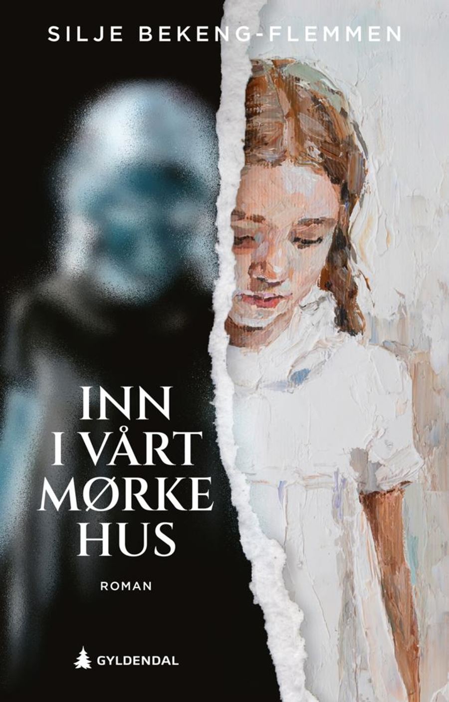 Inn i vårt mørke hus (Hardcover)