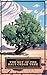 The Boy of the Salt Cedar Tree: Childhood Memories of a 60's-70's Mexicali Boy.