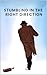 Stumbling in the Right Direction by Don M