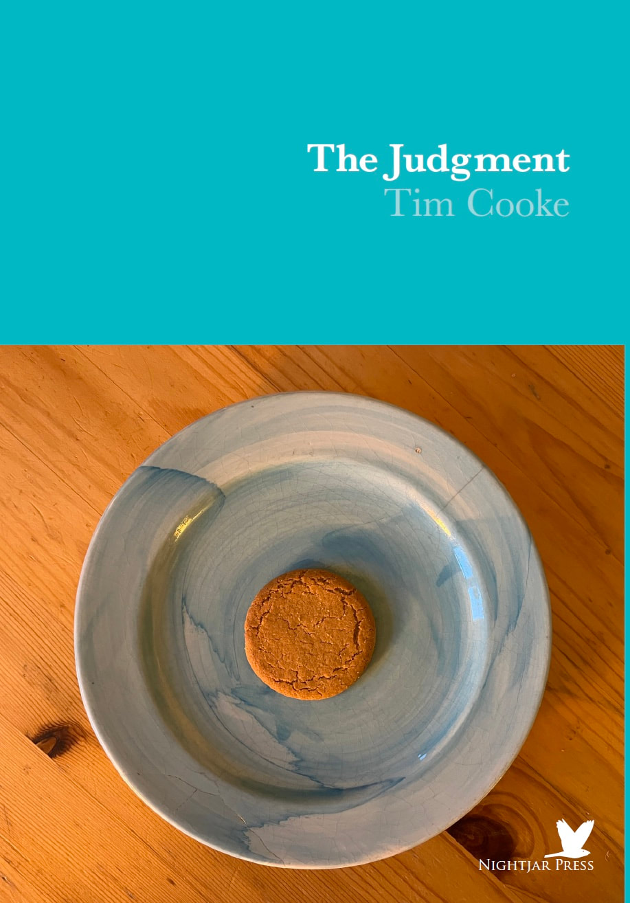 The Judgment (Paperback)
