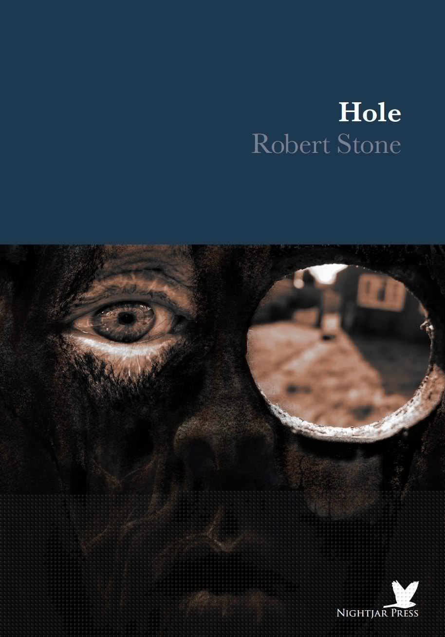 Hole (Paperback)