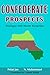 CONFEDERATE PROSPECTS by Polat Jan