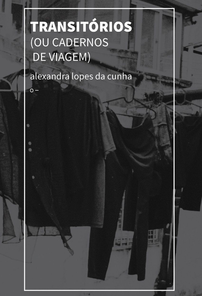 Transitórios: ou Cadernos de viagem
