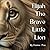 Elijah The Brave Little Lion