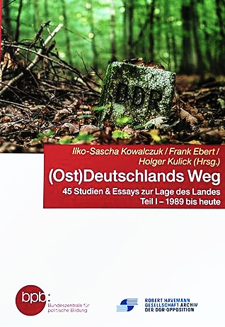 (Ost)Deutschlands Weg: 45 Studien & Essay zur Lage des Landes Teil 1: 1989 bis heute