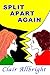 Split Apart Again: Older Self Meets Younger Self (Torn Asunder Book 2)