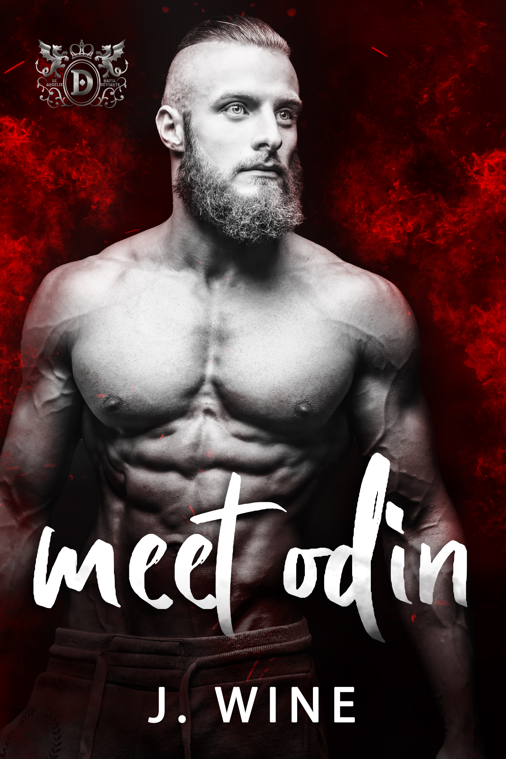 Meet Odin (Silent Syndicate Division, #1)