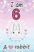 Journal I am 6 & Love Rabbit by Jay Crawley