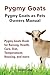 Pygmy Goats. Pygmy Goats as...
