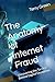 The Anatomy of Internet Fra...
