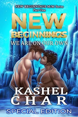 Phoenix Code (New Beginnings #0)