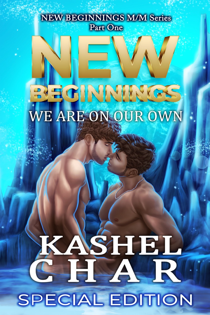 Phoenix Code (New Beginnings #0)
