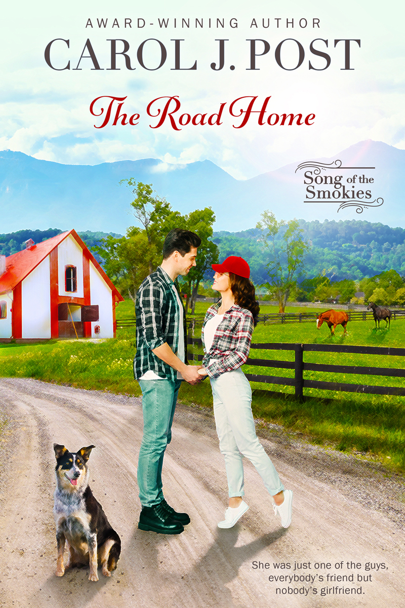 The Road Home (Song of the Smokies, #2)