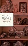 Fabian und Sebastian: Eine Erzählung (Wilhelm Raabe. Werke. Kritische kommentierte Ausgabe)