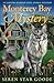 Monterey Bay Mystery (Amand...