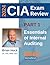 HOCK Certified Internal Auditor (CIA) Textbook Part 1 (2024 E... by Brian Hock