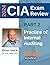 HOCK Certified Internal Auditor (CIA) Textbook Part 2 (2024 E... by Brian Hock