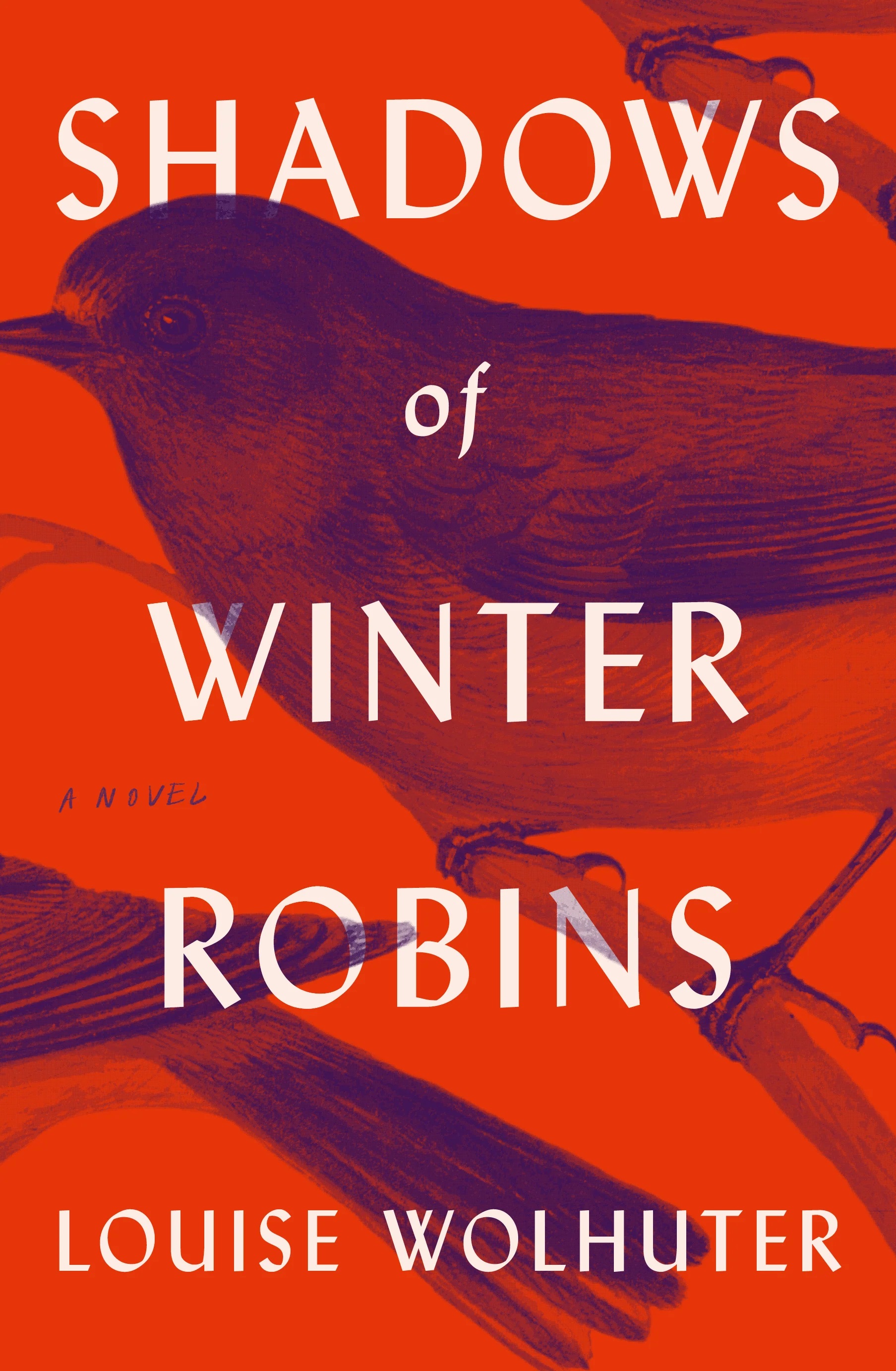Shadows of Winter Robins (Paperback)
