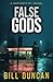 False Gods (Rafferty P.I. #7)