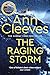 The Raging Storm (Two Rivers #3)