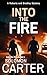 Into the Fire (Roberts and Bradley: Into the Fire #1)