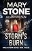 Storm's Burn (Amelia Storm #12)