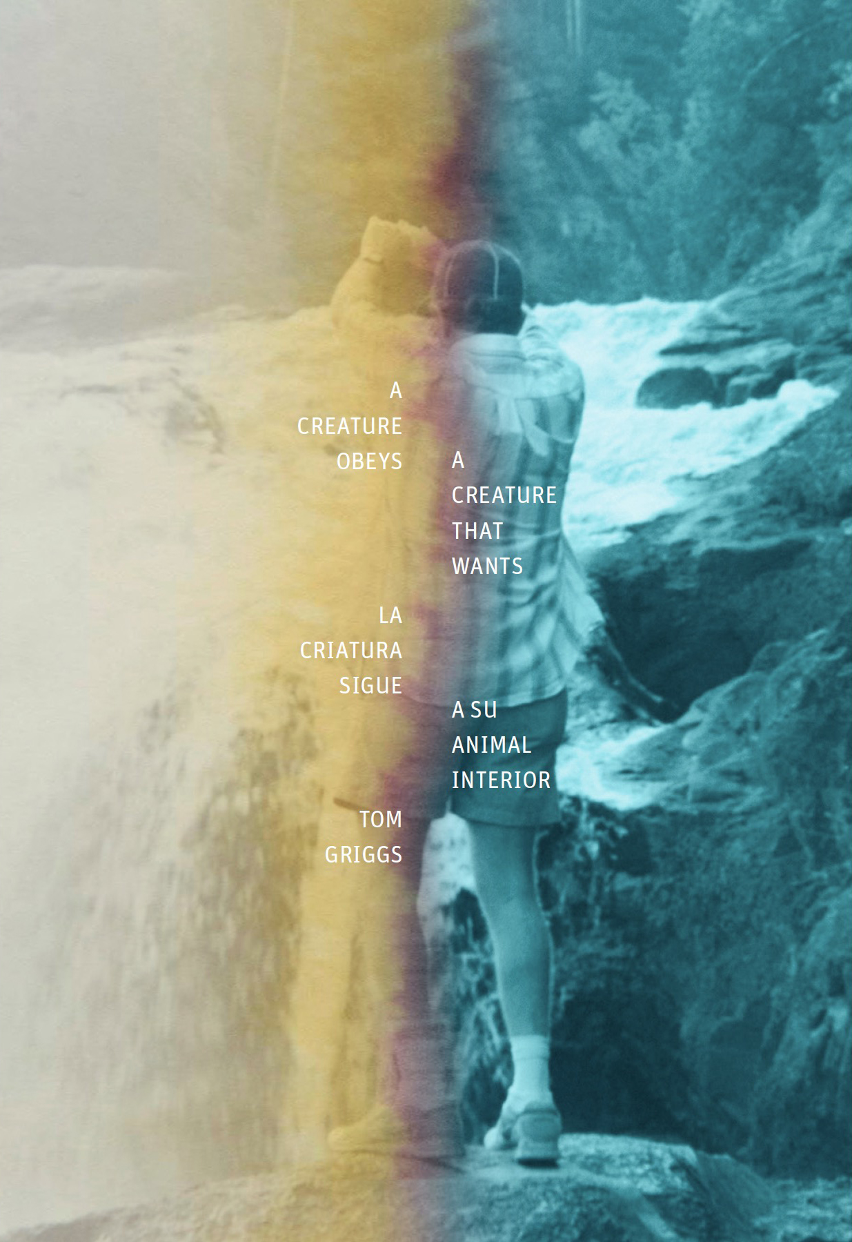 A Creature Obeys a Creature That Wants