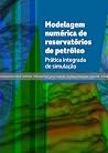 Modelagem numéric...