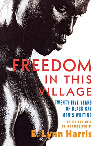 Freedom in this Village Twenty-Five Years of Black Gay Men's Writing (Paperback)