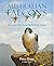 Australian Falcons by Peter Slater